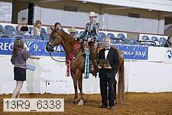 13r9_6338 proof