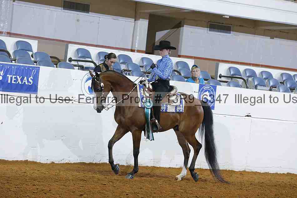 Proof 13r9_6347