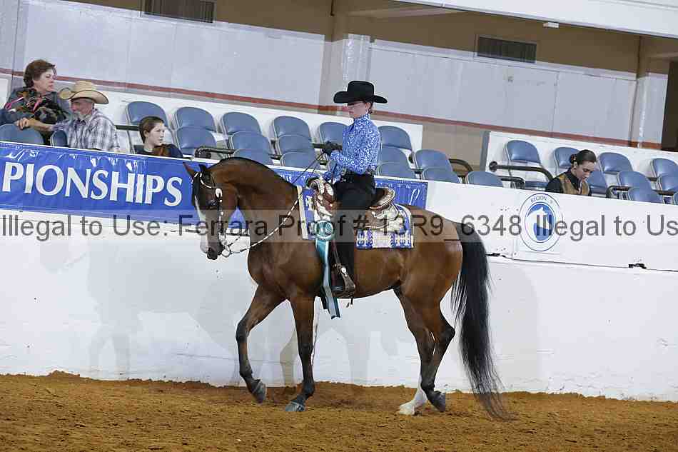 Proof 13r9_6348