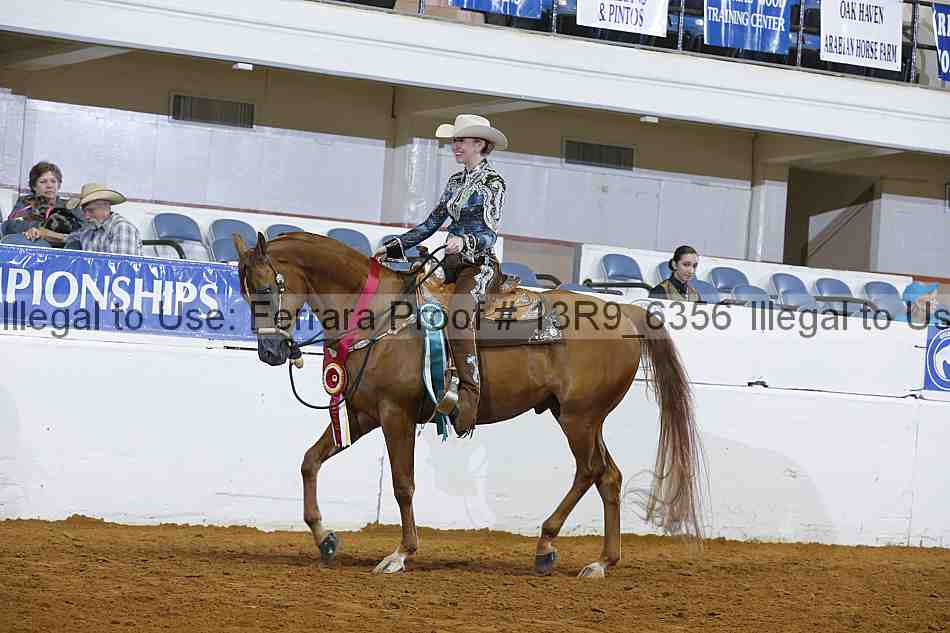 Proof 13r9_6356
