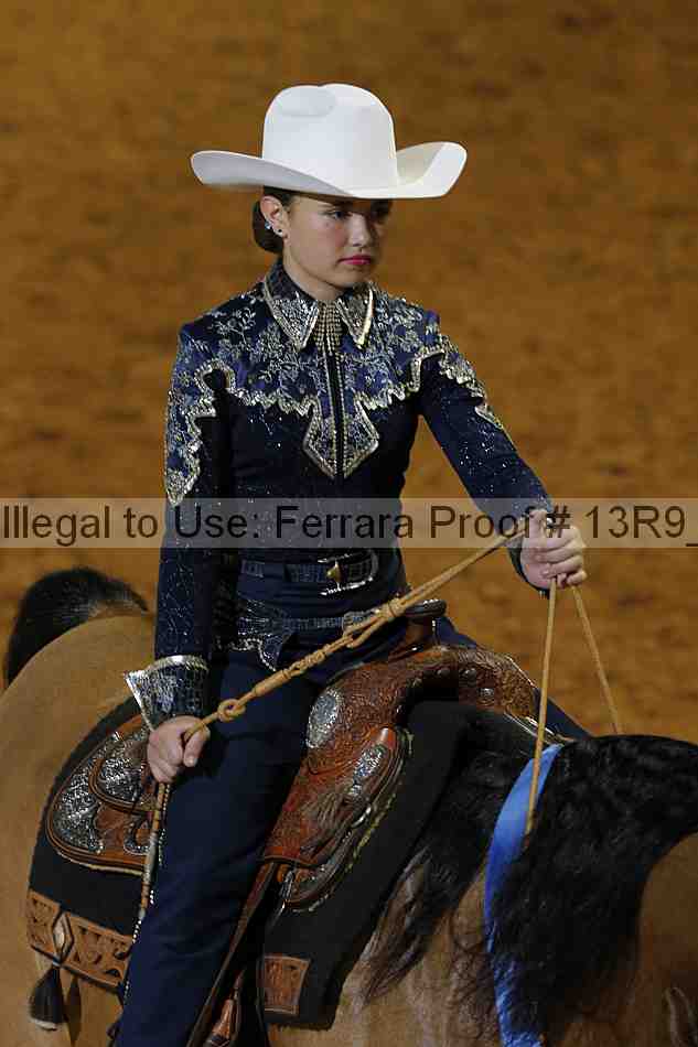 Proof 13r9_6366