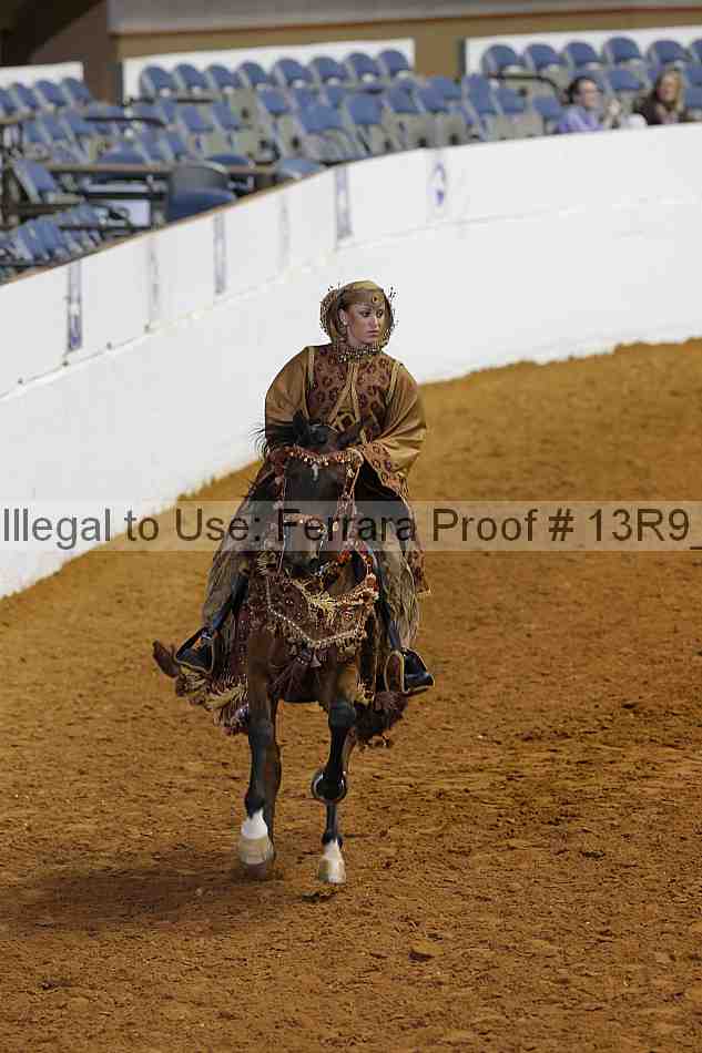 Proof 13r9_6369