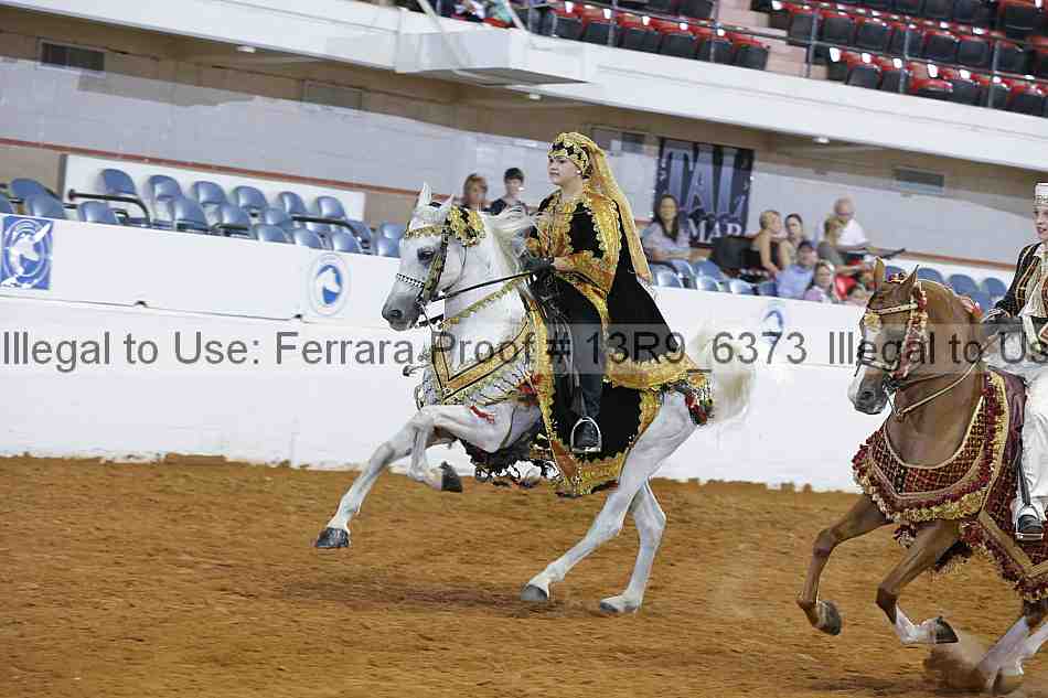 Proof 13r9_6373