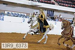 13r9_6373 proof