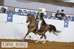13r9_6382 proof