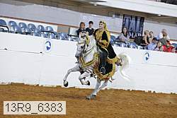 13r9_6383 proof