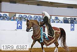 13r9_6387 proof