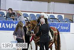 13r9_6388 proof