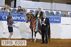 13r9_6391 proof