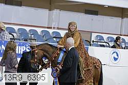 13r9_6395 proof