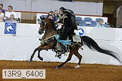 13r9_6406 proof