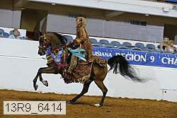 13r9_6414 proof