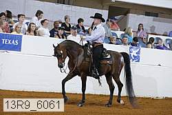 13r9_6061 proof
