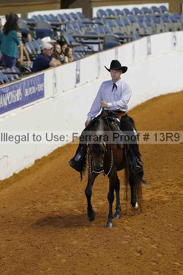 Proof 13r9_6068