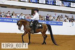 13r9_6071 proof