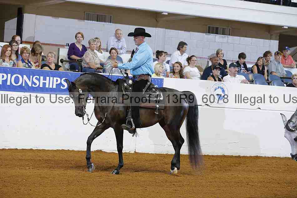 Proof 13r9_6078