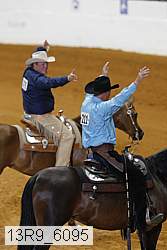 13r9_6095 proof