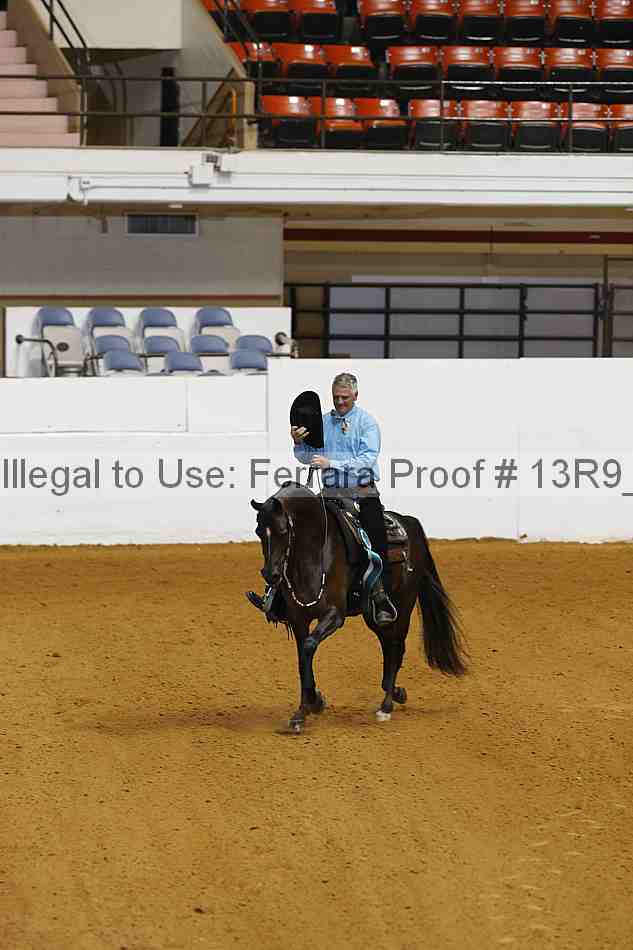 Proof 13r9_6099