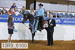 13r9_6100 proof