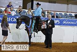 13r9_6102 proof