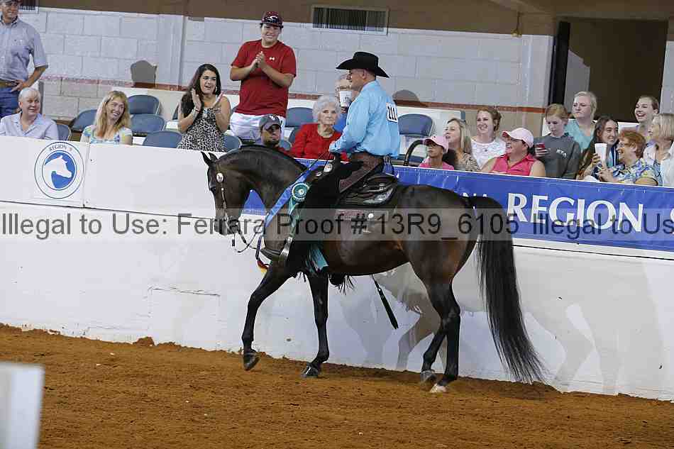 Proof 13r9_6105