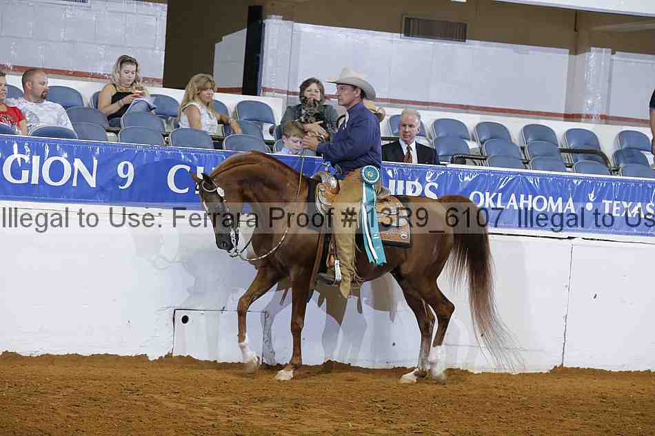 Proof 13r9_6107