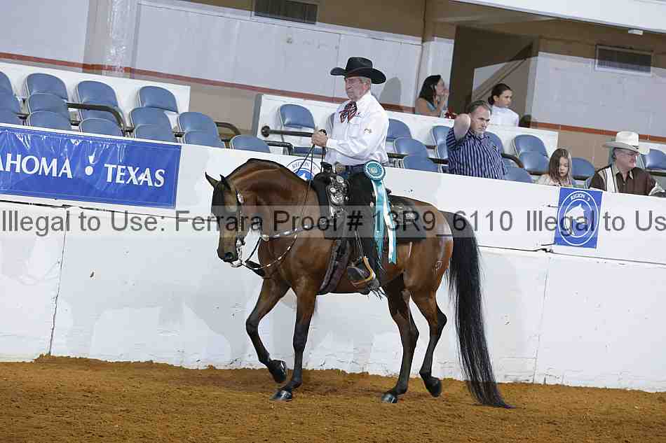 Proof 13r9_6110