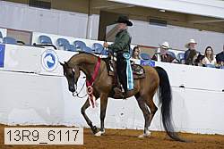 13r9_6117 proof
