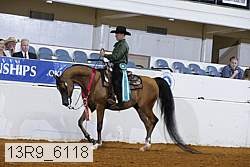 13r9_6118 proof