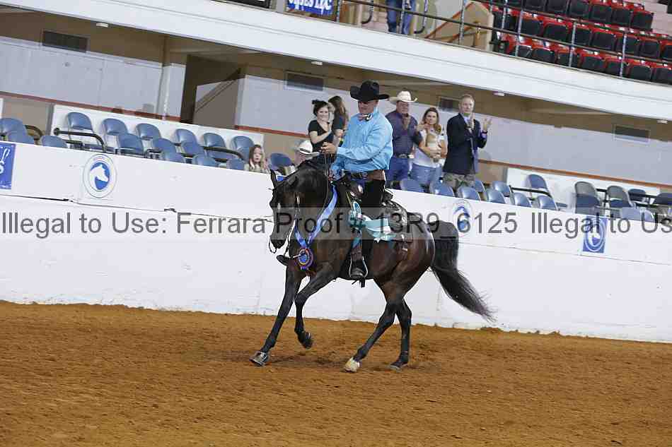 Proof 13r9_6125