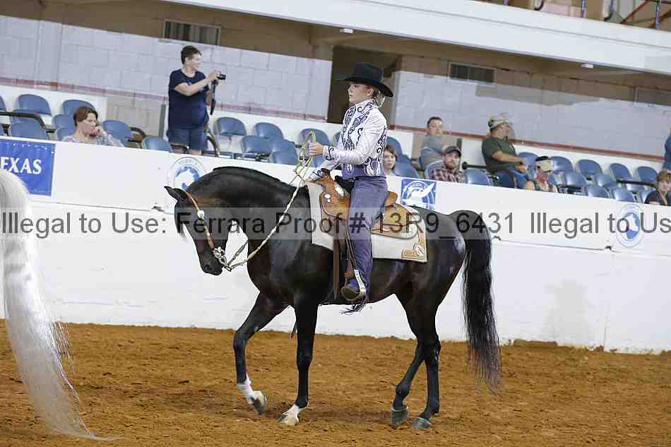 Proof 13r9_6431