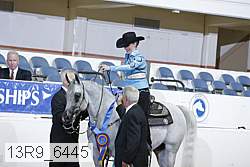 13r9_6445 proof
