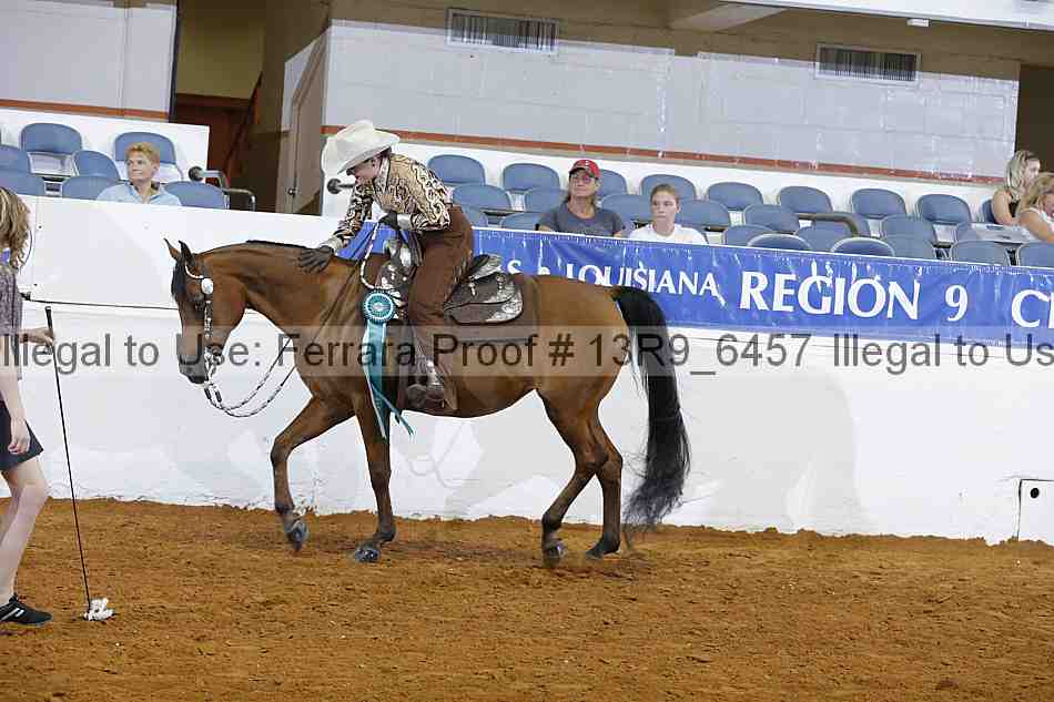 Proof 13r9_6457