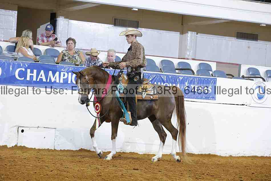 Proof 13r9_6466