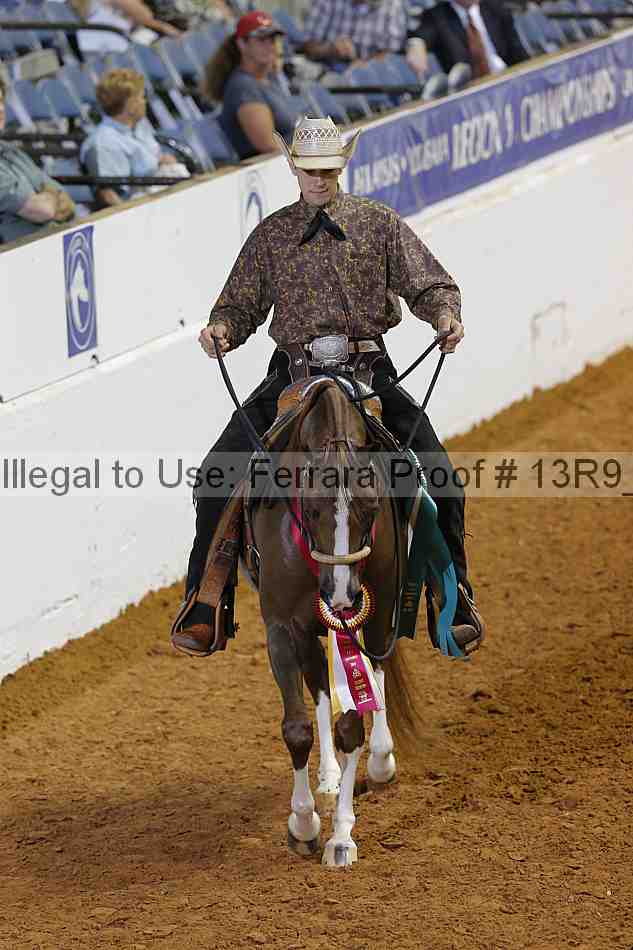 Proof 13r9_6469
