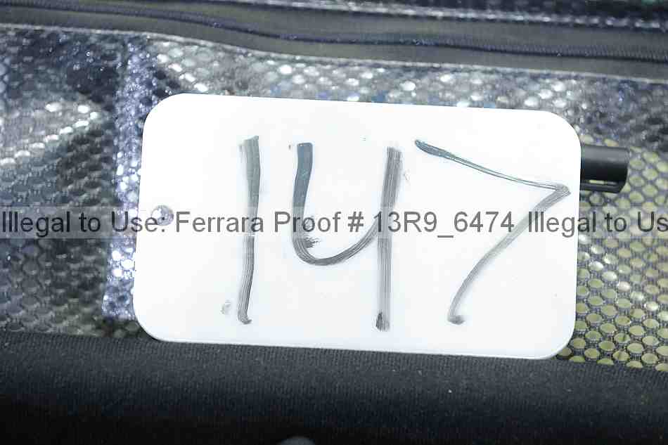 Proof 13r9_6474