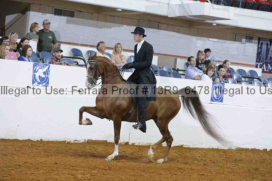 Proof 13r9_6478