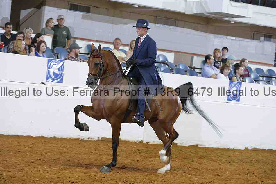 Proof 13r9_6479