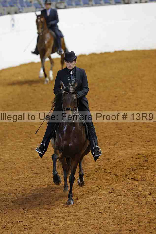 Proof 13r9_6488