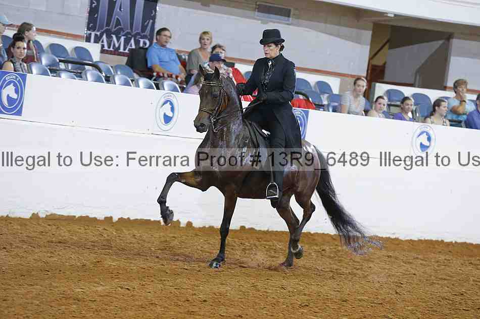 Proof 13r9_6489