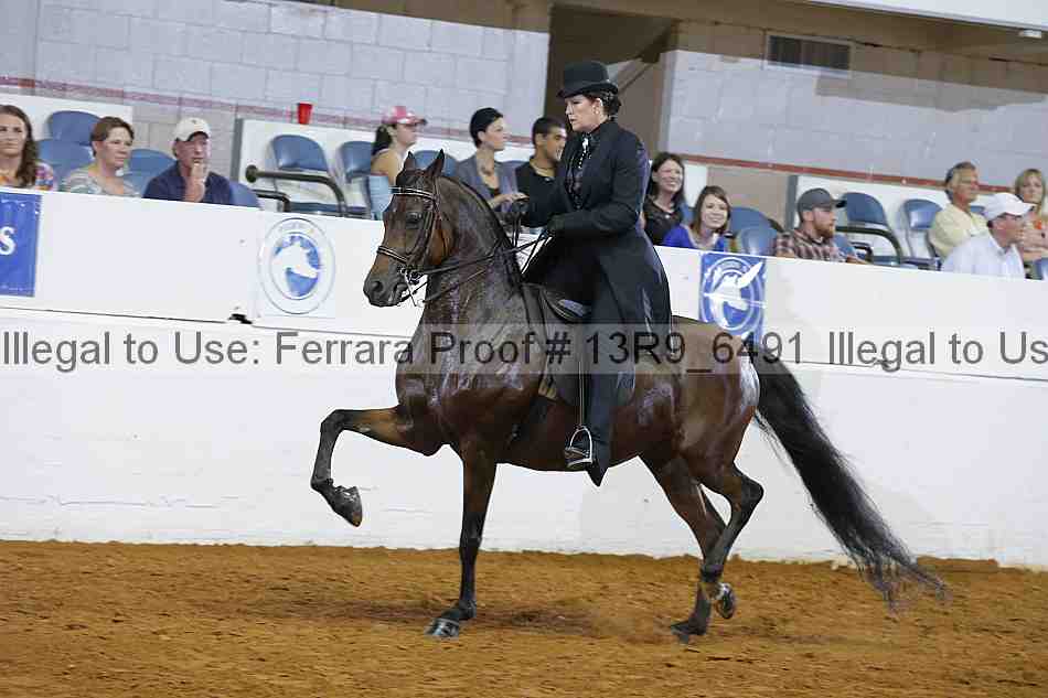Proof 13r9_6491