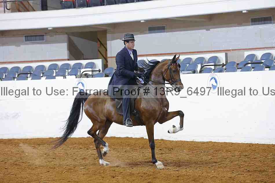 Proof 13r9_6497