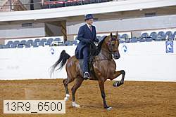 13r9_6500 proof