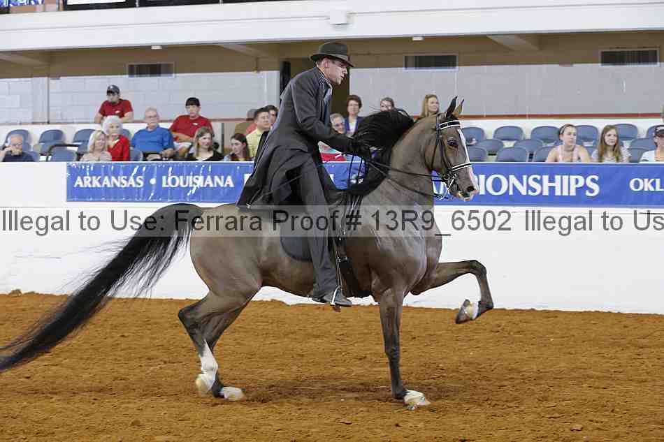 Proof 13r9_6502