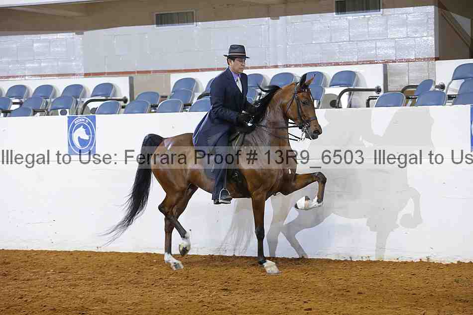 Proof 13r9_6503