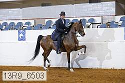 13r9_6503 proof
