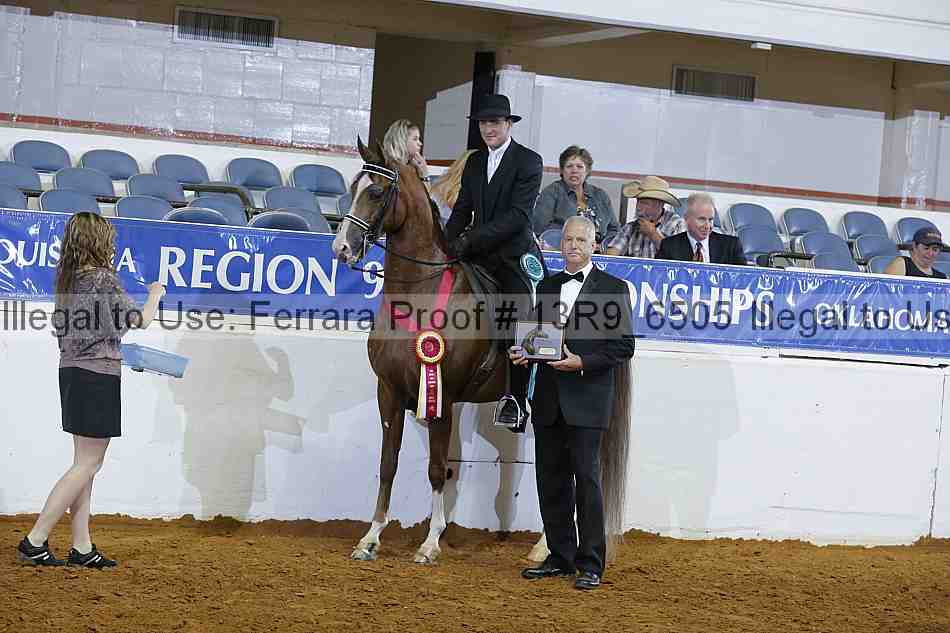 Proof 13r9_6505