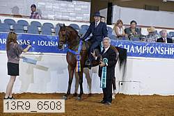 13r9_6508 proof