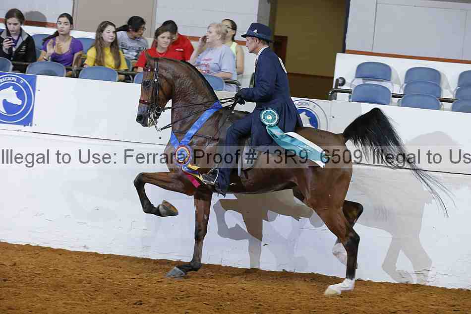 Proof 13r9_6509