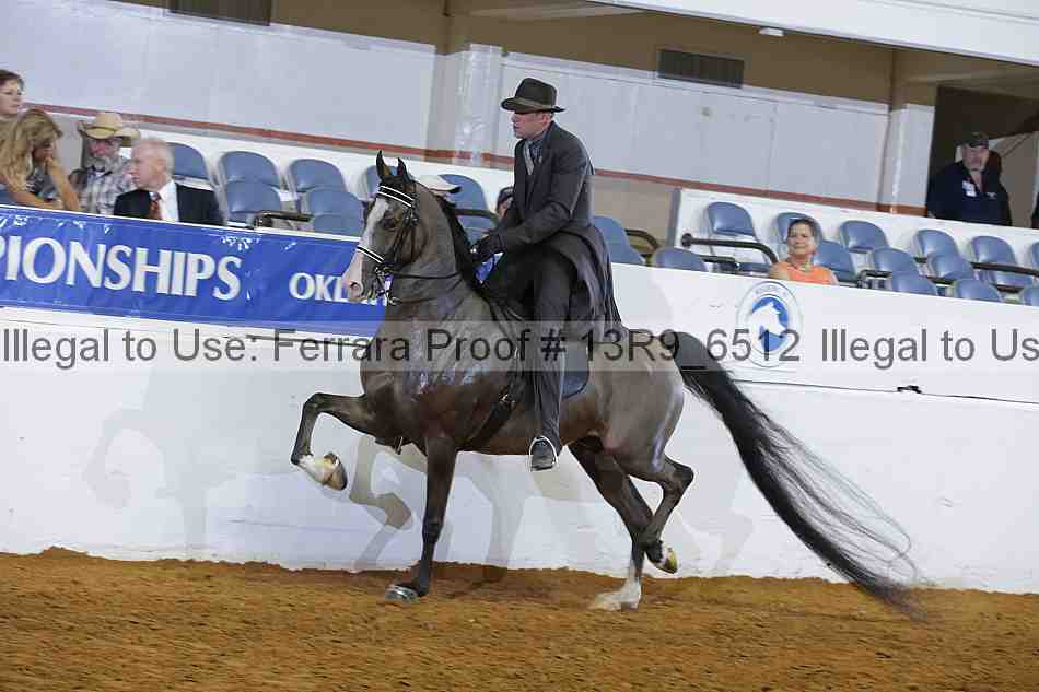 Proof 13r9_6512